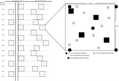 Influence of Anthropogenic Pressure on the Plant Species Richness and Diversity Along the Elevation Gradients of Indian Himalayan High-Altitude Protected Areas